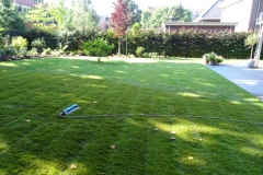 2016-08-Sierbestrating-tuinaanleg-technische-installatie-25