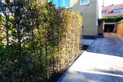 2018-10-3-Tuinaanleg-bewatering-7